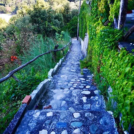 Daenerys In Agios Ioannis Papa Nero Ferienhaus Agios Ioannis (Thessaly)