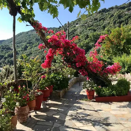 Daenerys In Agios Ioannis Papa Nero Agios Ioannis (Thessaly)