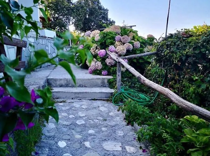 Daenerys In Agios Ioannis Papa Nero